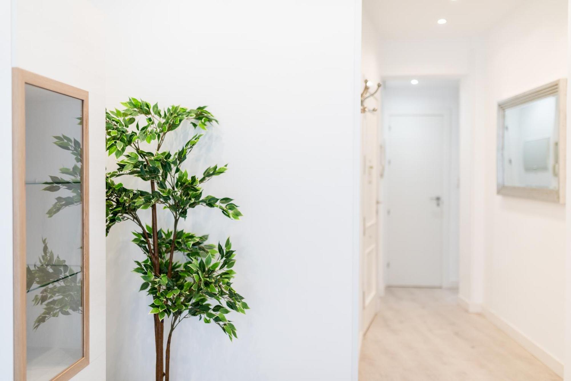 Wekey Homes Granada, Elvira Suites Centro エクステリア 写真